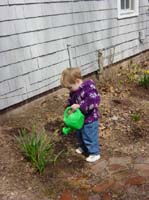 ja-04-10-watering-daffodils