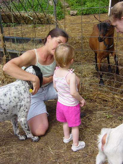 id-07-25-goat-dorothy-dog