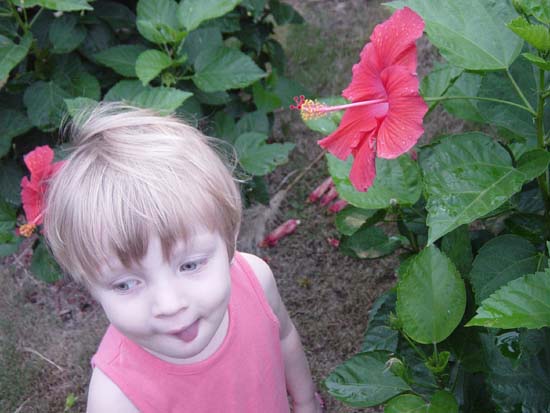 fia-09-14-mg-flower-tongue