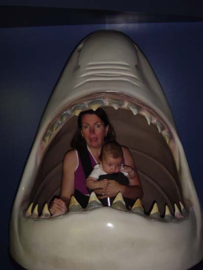 ib-09-18-jaws-scared