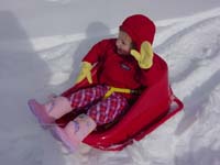 ea-01-29-mirin-sledding