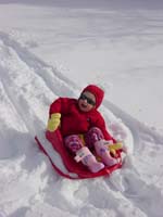 eb-01-29-movie-star-sled