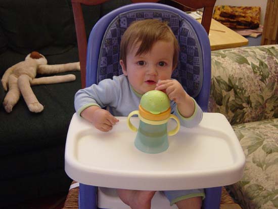 qa-04-20-new-sippy