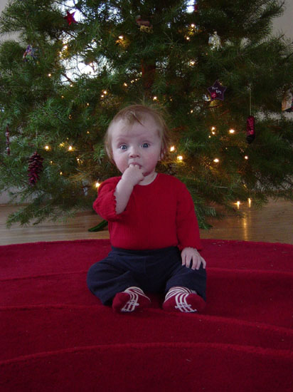 zh-01-06-tree-fingers