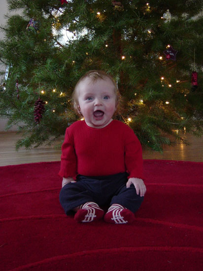 zj-01-06-tree-big-laugh